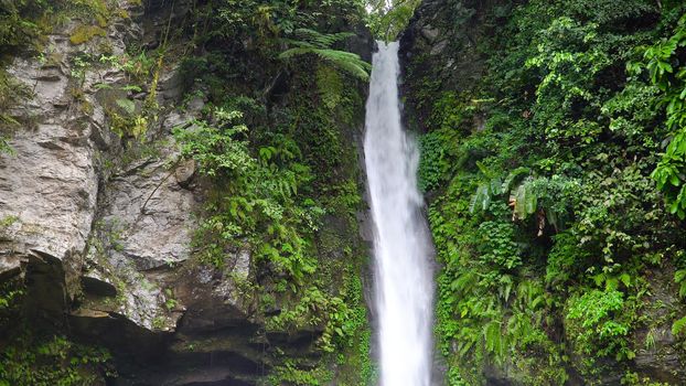 Waterfall in green rainforest. Tropical Tuasan Falls in mountain jungle. waterfall in the tropical forest. Camiguin, Philippines, Mindanao