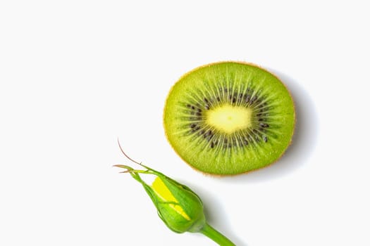 kiwi slice and rosebud on a white background. High quality photo