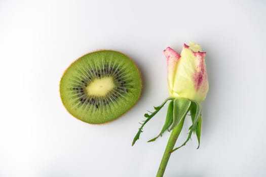kiwi slice and rosebud on a white background. High quality photo
