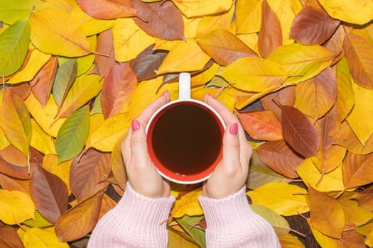 women's hands in a warm sweater with a Cup of tea on the yellow autumn leaves. High quality photo