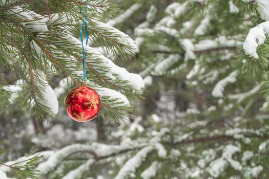 christmas decoration on the snow-covered branches of fir trees in the winter forest. High quality photo