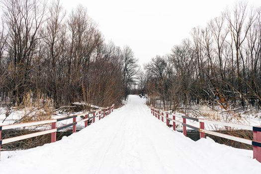 winter road across the river in the snow-covered forest. High quality photo
