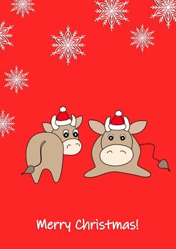 Merry Christmas, holiday, celebration greeting and invitation card, banner, frame, header, postcard. Colorful cute vector with animal and snowflakes on red background. Bull in a winter hat