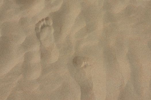 footprints on the beach dune sand as a background. High quality photo