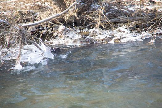 wild river in winter with spray