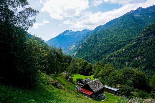 View down the Val Lavizzara over alp with traditional houses near Fusio, Ticino Switzerland