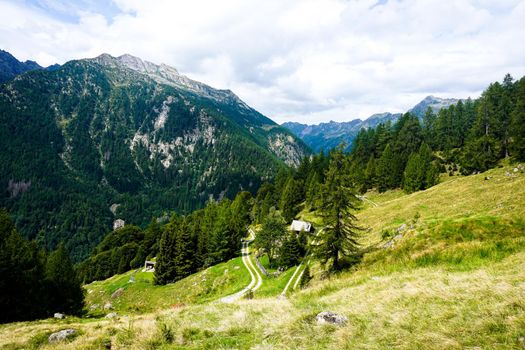 View over traditional alp in the Val Lavizzara near Fusio, Switzerland