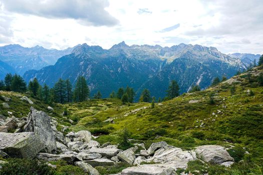 View from the Corte della Sassina alp to the Pizzo di Röd mountain range, Switzerland