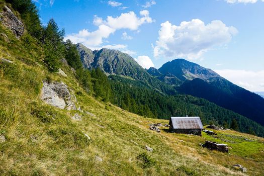 Alp near Fusio in front of Pizzo Campo Tencia mountain range, Ticino, Switzerland