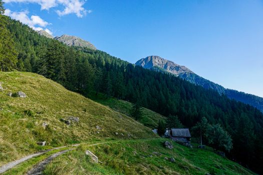 The alp Vacarisc di Fuori near Fusio, Ticino, Switzerland