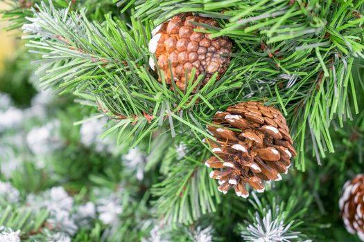 pine branch with a cone close up against the blue sky. High quality photo