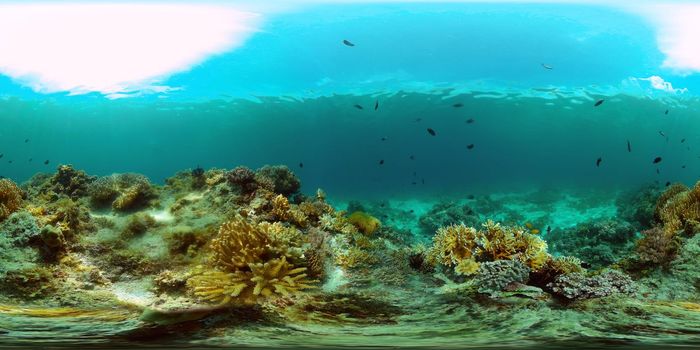 Marine scuba diving. Underwater colorful tropical coral reef seascape. Philippines. 360 panorama VR