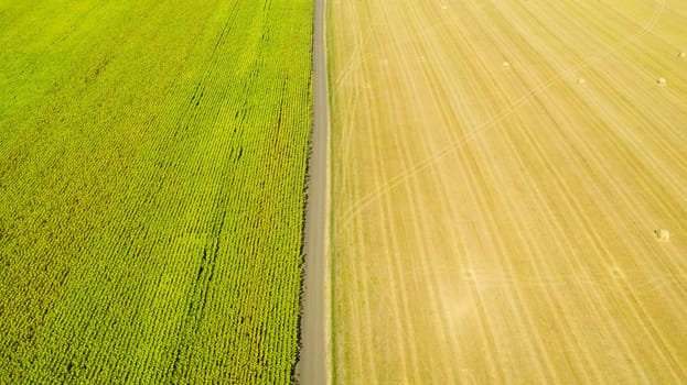 Aerial drone of landscape flying over many rolls of straw lying on an agricultural summer field in the evening after harvesting crops.