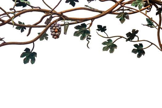 metal vine on a white background isolate. High quality photo