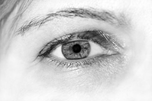 human eye close up macro as background. High quality photo