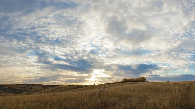 autumn forest landscape with blue sky background. High quality photo