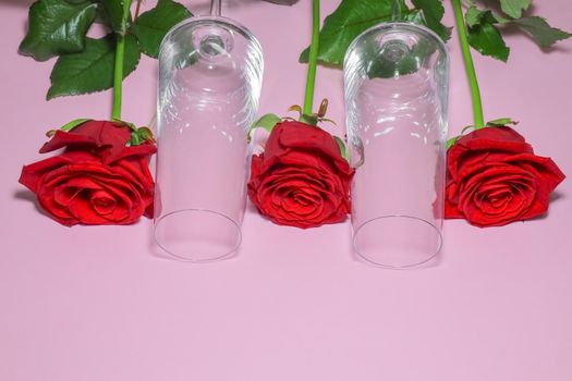 red roses on a purple background macro. High quality photo