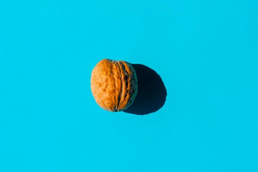 walnut with a hard shadow on a plain background. the view from the top. blank for the pattern. High quality photo