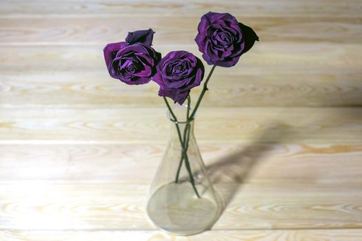 dried roses in a test tube as background. High quality photo