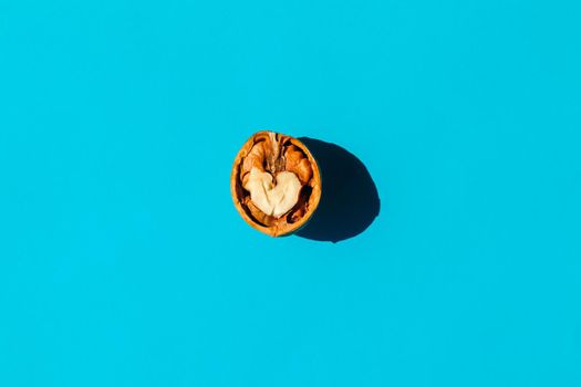 walnut with a hard shadow on a plain background. the view from the top. blank for the pattern. High quality photo