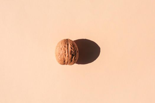 walnut with a hard shadow on a plain background. the view from the top. blank for the pattern. High quality photo