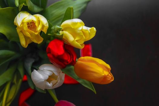 Bud of a Tulip on a beautiful background of macro. High quality photo