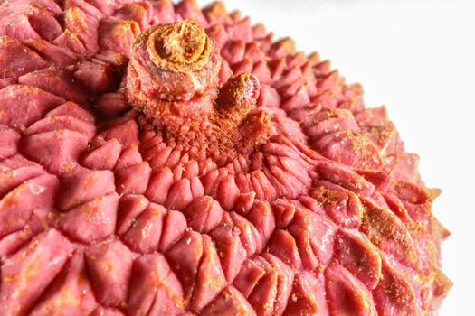 lychee fruit on the background of close-up macro . High quality photo