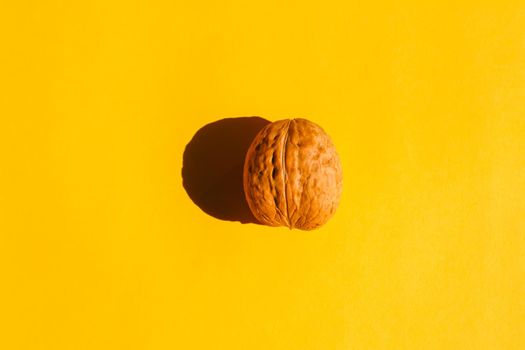 walnut with a hard shadow on a plain background. the view from the top. blank for the pattern. High quality photo