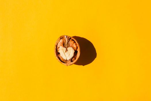 walnut with a hard shadow on a plain background. the view from the top. blank for the pattern. High quality photo