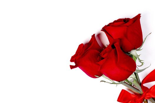 Three beautiful red roses tied with ribbon bow isolated on white background