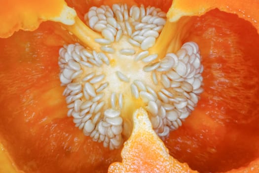 orange bell pepper in the macro section. High quality photo