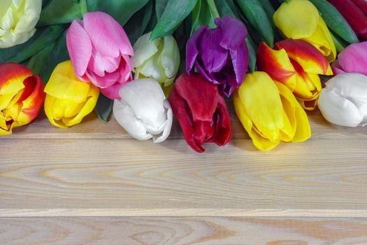 mix multi-colored tulips on a wooden background with a place for the inscription . High quality photo