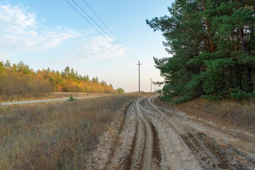 road in the autumn forest as a background. High quality photo