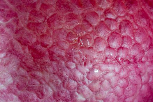 lychee fruit on the background of close-up macro . High quality photo