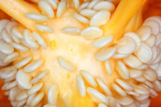 orange bell pepper in the macro section . High quality photo