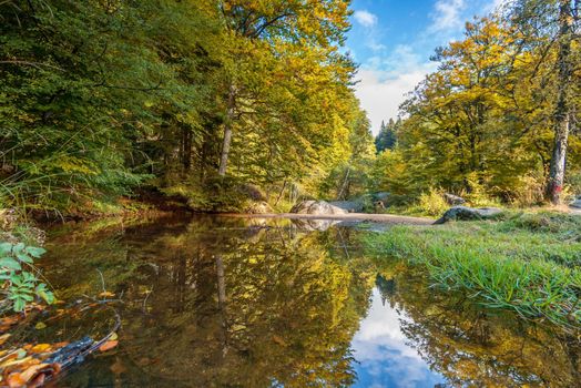 Autumn landscape with colorful forest reflected in water.