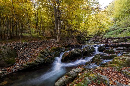 Beautiful view of a river with an waterfall in the forest.