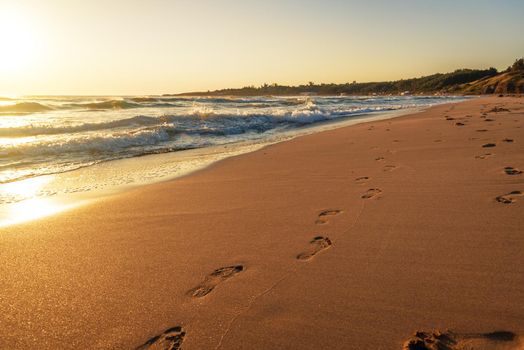 beach, wave and footsteps at sunset time in summer