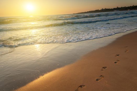beach, wave and footsteps at sunset time in summer