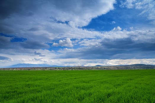 bright green field under a sky with clouds in spring