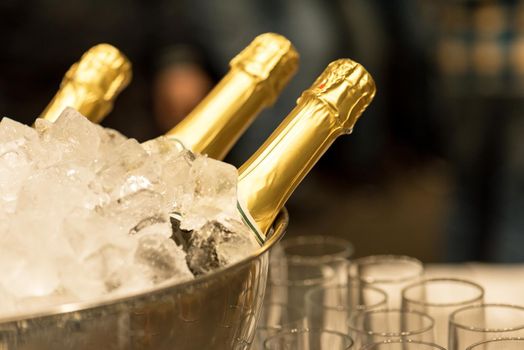 Bottle of champagne in bucket of ice.