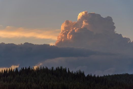 Dramatic color of Sky and twilight cloud background