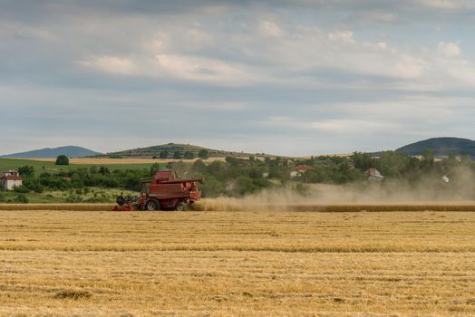 Harvester machine to harvest wheat field working