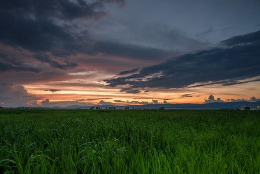 Dramatic sunset over a field in summer