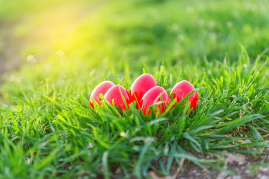 Easter eggs in grass at sunset