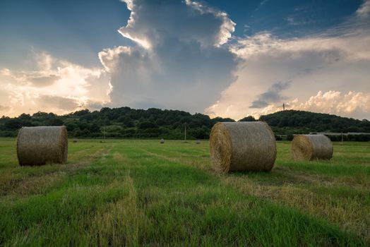 Field of freshly bales of hay with beautiful sunset