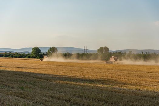 Combine harvester agriculture machine harvesting golden ripe wheat field