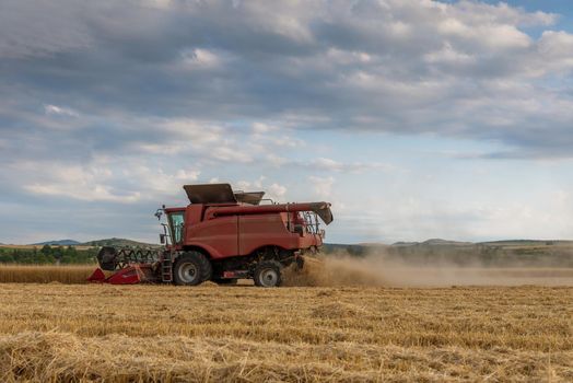 Combine harvester agriculture machine harvesting golden ripe wheat field