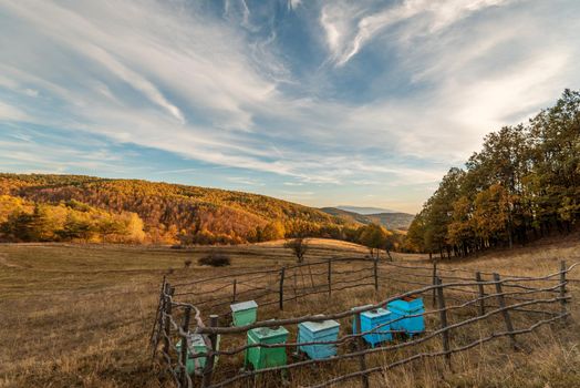 Honey bee hives in autumn forest.