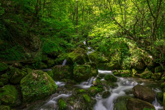 River in the mountains of Bulgaria in spring 
